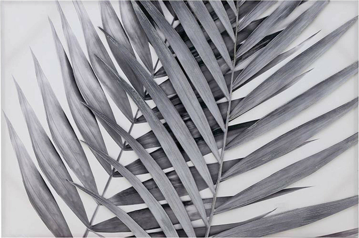 Paveikslas Kaiva Palms 120x80cm