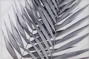 Paveikslas Kaiva Palms 120x80cm
