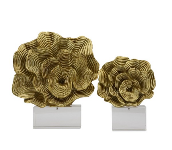 Koralas Golden 31cm